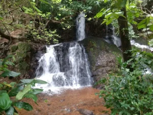 unnamed - 2025-09-22T103752.469